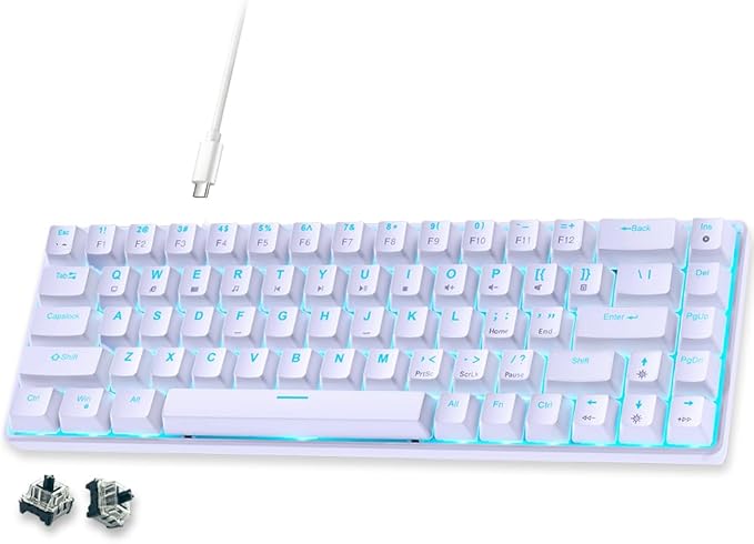 abucow 65% Mechanical Gaming Keyboard Black Switch Wired Compact Keyboard with Blue Backlight Swappable White Keycaps for Windows/Mac