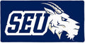St. Edward's University Primary Logo Large Gaming Mouse Pad Desk Mat with Stitched Edges Non-Slip Base for Gamer Home and Office 31.5 x 15.7