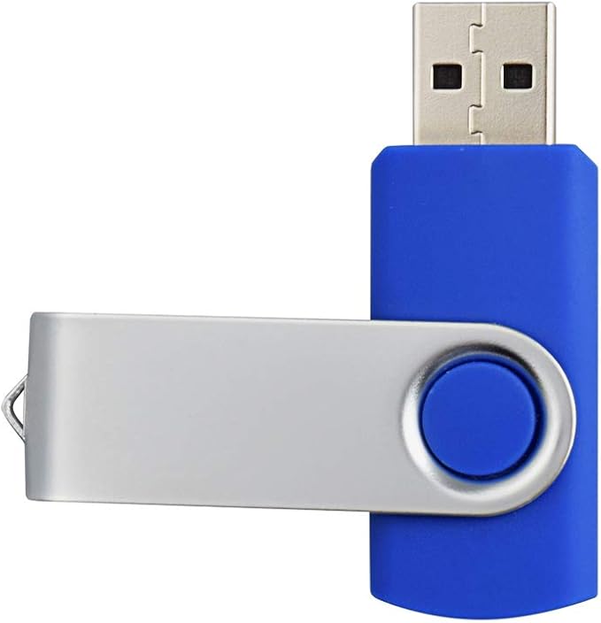 Aiibe 10 Pack 4GB Flash Drive USB Flash Drive Thumb Drives USB 2.0 Memory Stick Wholesale/Lot/Bulk (4GB 10 Pack Blue)