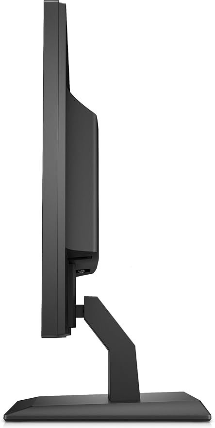 HP P204 LED Display 49.5 cm (19.5) HD+ Flat Black