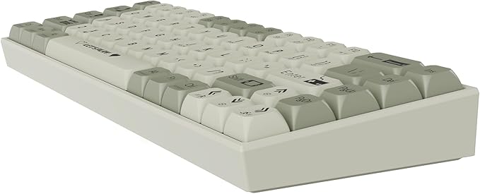 AK680 Wired Compact Mechanical Keyboard 68 Keys Grey-White Layout Hot-Swappable Tactile Brown Switch Gaming Keyboard with Multicolor Backlight Eva Foam Dampening for Gaming &amp Typing