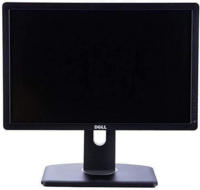 Dell Professional P1913 19-Inch PLHD Widescreen Monitor