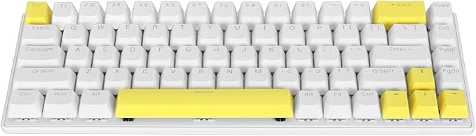 Vikye Mechanical Gaming Keyboard RGB Backlight Compact 68 Keys Mini Wired Office Keyboard with Blue Switch Suitable for Windows for Android PC Laptop (White