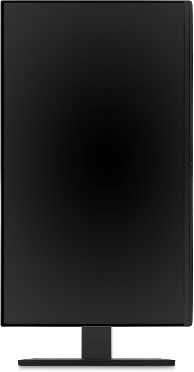 ViewSonic VG2451 24 Inch IPS 1080p Ergonomic Monitor with Full Adjustability 100Hz 4-Port USB Hub HDMI DisplayPort and USB C Inputs for Home and Office