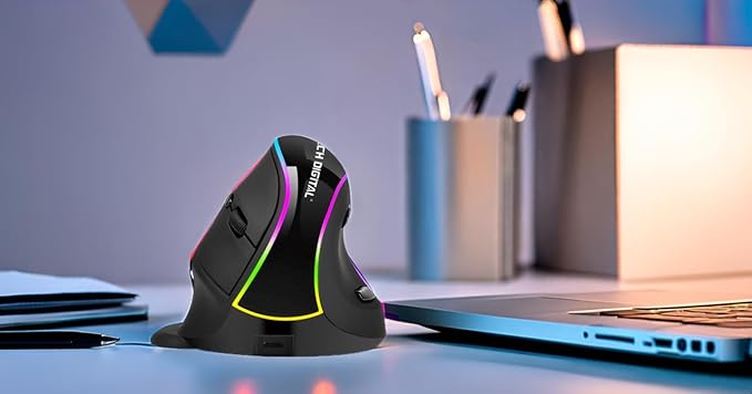 J-Tech Digital Ergonomic Mouse with Wireless Connection Removable Palm Rest Thumb Buttons Rechargeable Battery 800 DPI Compatible with Windows and MAC OS