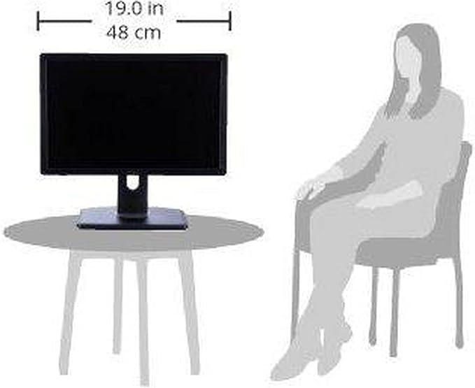 Dell Professional P1913 19-Inch PLHD Widescreen Monitor