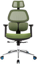 Office Chair Gaming Chair Computer Chair Executive Office Chair - High Back Office Chair with Footrest and Thick Padding - Reclining Computer Chair with Ergonomic Segmented Back Black (Colo