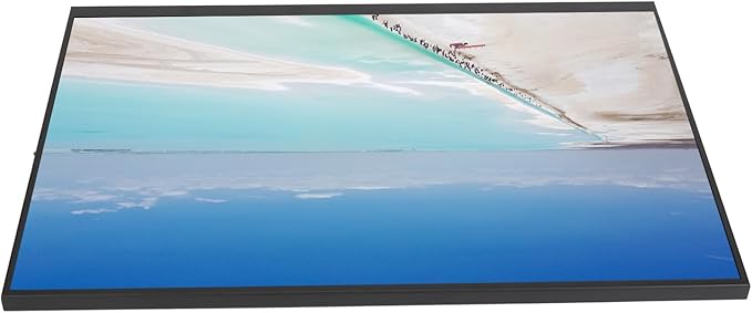SUNGOOYUE 18 Inch Portable Display High Refresh Rate IPS Screen with Built in Dual Speakers for PC Cell Phone PS3 iOS Tablets (165HZ)