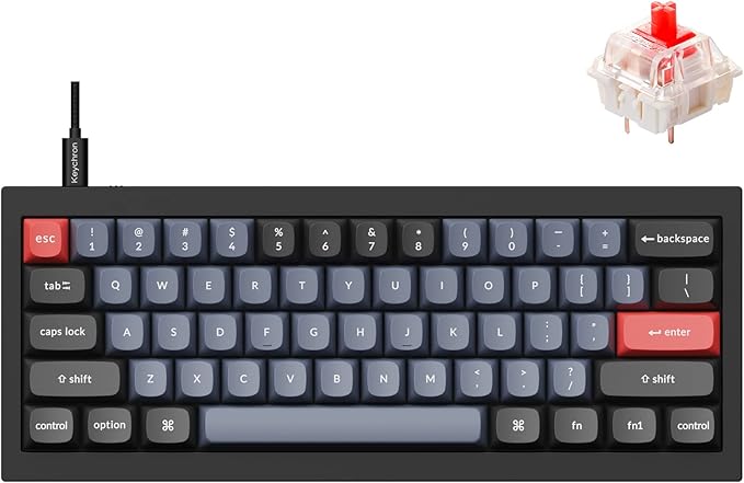 Keychron Q4 Wired Custom Mechanical Keyboard 60% Layout QMK/VIA Programmable Macro with Hot-swappable Gateron G Pro Red Switch Double Gasket Compatible with Mac Windows Linux (Black)