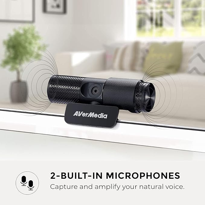 AVerMedia Live Streamer Cam 313 - Full HD 1080P Webcam with Privacy Shutter Dual Microphone 360 Degree Swivel for Video Conference - NDAA Compliant (PW313)