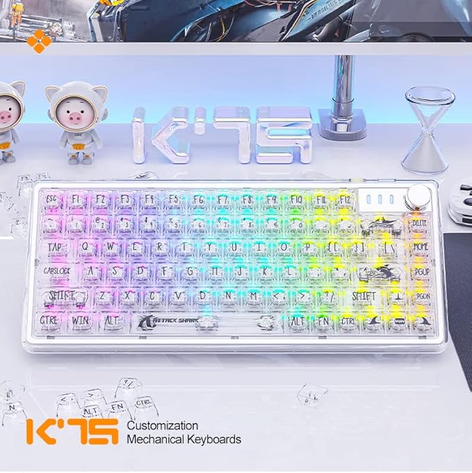 MAGIC-REFINER 81 Keys Mechanical Gaming Keyboard with Type C Cable Plug PlayPC High Transparent Body with Customize RGB Backlight Full Key can Hot-Swappable Compact Mini Keyboard with for Win/Mac