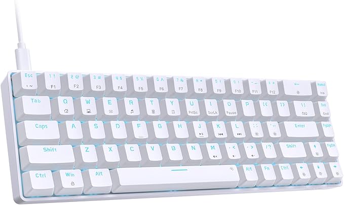 DIERYA T68SE 60% Gaming Mechanical KeyboardUltra Compact Mini 68 Key with Blue Switches Wired KeyboardAnti-Ghosting Keys for Windows Laptops and PC GamersWhite