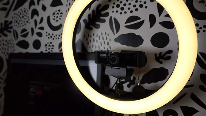 PTZOptics USB Webcams with Dual Microphones PTZ Camera Wide Angle Lens (PT-WEBCAM-80)