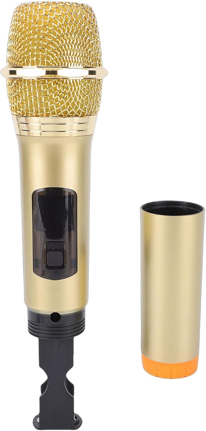 2.4G Wireless Microphone Professional Dynamic Mic with USB Receiver for Outdoor Stage Karaoke Computer Phone Speaker