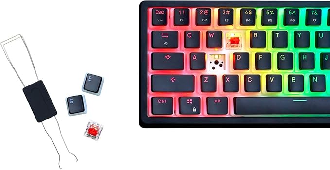 G.SKILL KM250 RGB 65% (67-Key) Mechanical Keyboard PBT Dual Injection Keycap (Black)