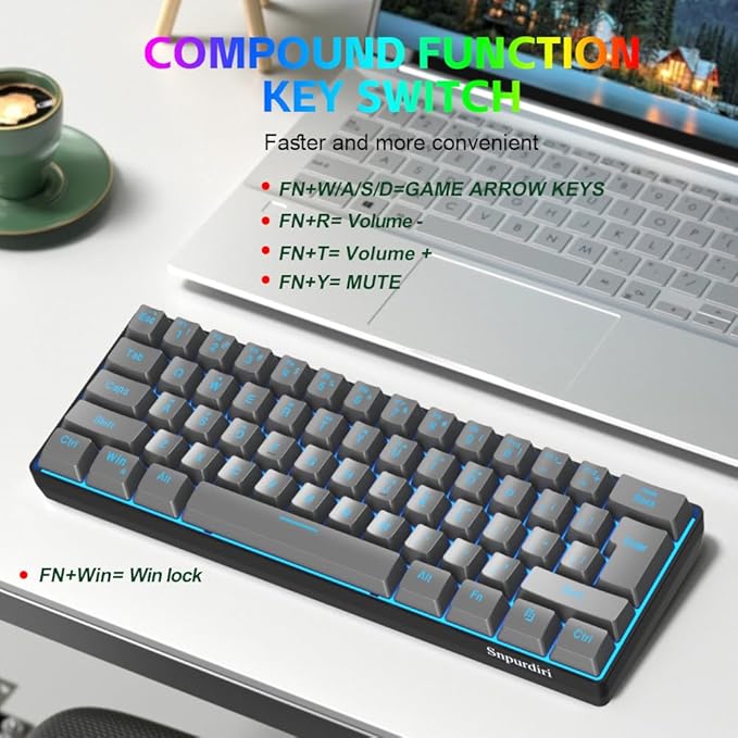 Snpurdiri 60% Wired Gaming Keyboard RGB Backlit Ultra-Compact 61 Keys 60 Percent Mini Gaming Keyboard for PC/Mac Gamer Typist Travel Easy to Carry on Business Trip(Iron Grey)