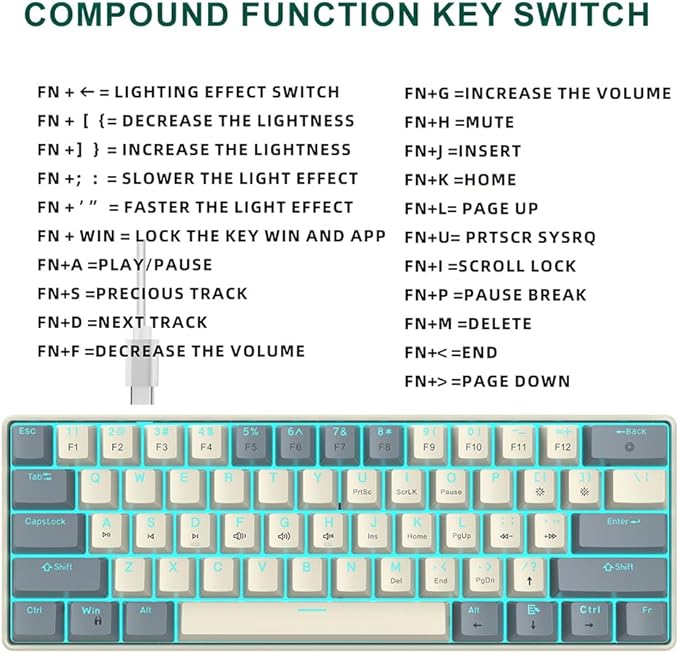 Docooler 60% Wired Keyboard 61-Key RGB Gaming Keyboard 61 Keys Hot-Swap Compact Mechanical Keyboard Linear Red Switch for Gaming &amp Office Wired Computer Keyboard Ergonomic - Ice Blue