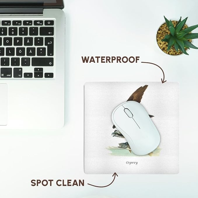 3Drose LLC 8 X 8 X 0.25 Inches Mouse Pad Osprey by John James Audubon (Mp_114072_1)