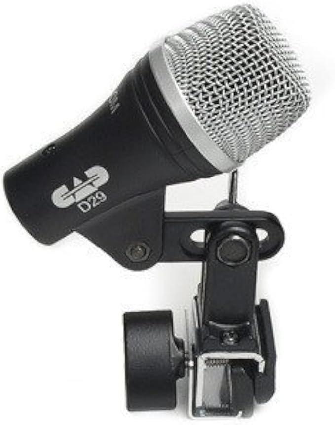 CAD D29
