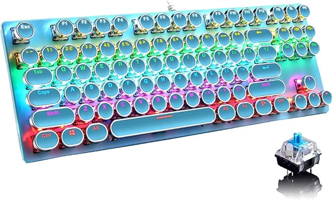 Mechanical Gaming Keyboard87 Key Retro Punk Typewriter-StyleBlue Switch Rainbow Backlit KeyboardAnti-Ghosting USB Wired for PC Laptop Desktop Computer for Game and Office(Blue)