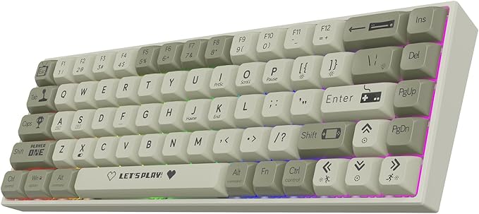 AK680 Wired Compact Mechanical Keyboard 68 Keys Grey-White Layout Hot-Swappable Tactile Brown Switch Gaming Keyboard with Multicolor Backlight Eva Foam Dampening for Gaming &amp Typing