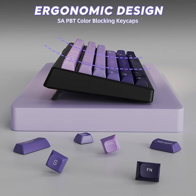 ZIYOU LANG M87 75% Wireless Gaming Keyboard Mechanical Feel Silent Rainbow Backlit Bluetooth/2.4Ghz PBT Gradient Keycaps Rechargeable 4000mAH Battery Ergonomic for MAC/Win/PC-Purple