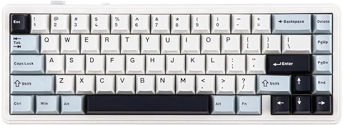 EPOMAKER x Aula F65 65% Wireless Mechanical Keyboard Hot Swappable Gasket Custom Gaming Keyboard with Five-Layer Padding RGB Backlit BT/2.4GHz/USB-C (Light Blue Graywood V3 Switch)