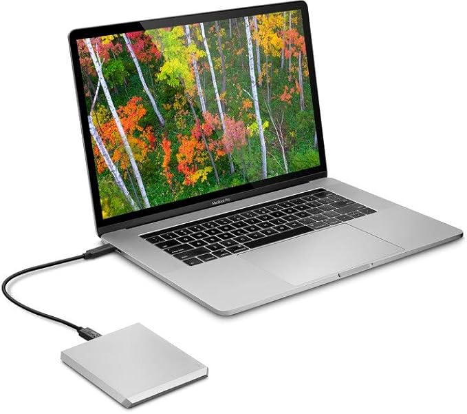 LaCie Mobile Drive 2 TB  External Hard Drive HDD – Moon Silver USB-C USB 3.0 With Rescue Services (STHG2000400)