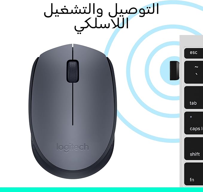 Logitech Wireless Mouse M170 Grey-k