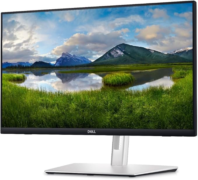Dell 24 Touch Monitor - P2424HT