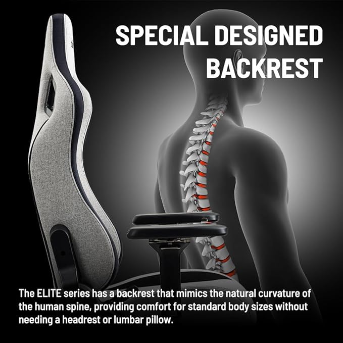 boulies Elite Gaming Chair Ergonomic Computer Chair with 4D Armrests Adjustable Reclining Office Chair with Head Pillow and Lumbar Support (Charcoal Grey Standard)