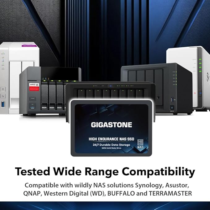 Gigastone 【NAS Certified】 High Endurance 512GB SSD (2-Pack) for Gaming/PC/Laptop/NAS SSD TLC 24/7 Reliable 2.5 SATA Internal Solid State Drives RAID Data Storage 2.5 inches SATA 3.0