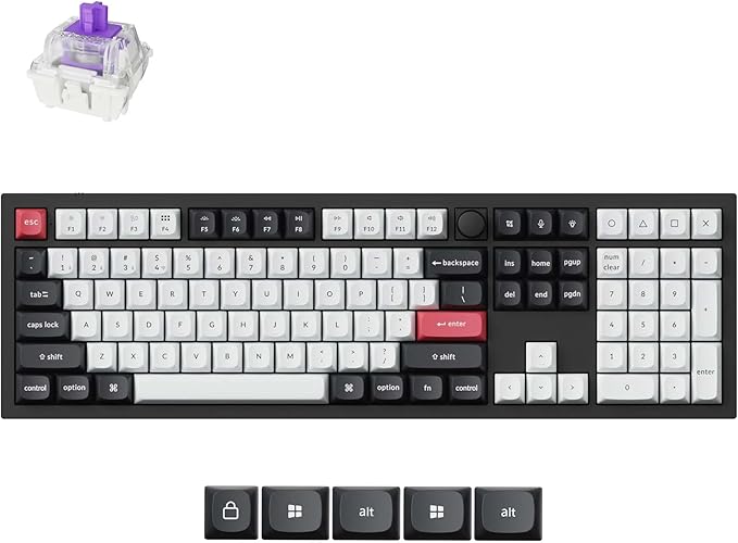 Keychron Q6 HE Wireless Custom Mechanical 100% Full Keyboard 2.4 GHz/Bluetooth/Wired QMK Rapid Trigger Hot-Swappable Programmable Gateron Double-Rail Magnetic Switches for Mac Windows Carbon Black