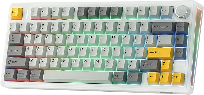 EPOMAKER TH80 V2 75% Wireless Mechanical Keyboard with Metal Knob 8000mAh 2.4Ghz/BT/USB-C RGB Hot Swap Custom Driver PBT Keycap Wireless Gaming Keyboard for PC/Mac (White Sea Salt Silent)