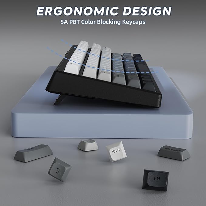 ZIYOU LANG M87 75% Wireless Gaming Keyboard Mechanical Feel Silent Rainbow Backlit Bluetooth/2.4Ghz PBT Gradient Keycaps Rechargeable 4000mAH Battery Ergonomic for MAC/Win/PC-Moonnight