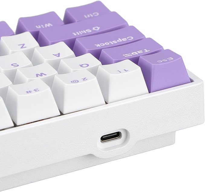 Zunate 61 Keys Red Switch Mechanical Gaming Keyboard RGB Backlit USB C Wired Gaming Keyboard for PC Laptop with White Shell and Blue and White Keycaps for Systems