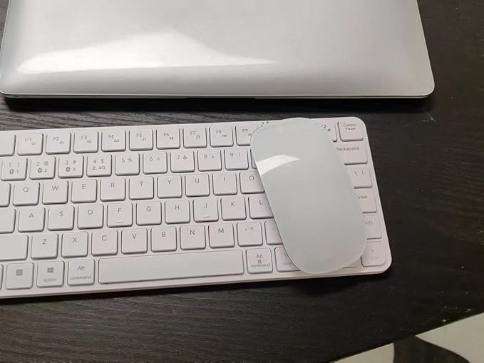 Wireless Multi-Touch Surface Magic Mouse Alternative USB C Rechargeable Bluetooth Mouse Compatible with MacOS/Windows/Linux/Android Laptop Desktop PC Smartphone Tablet (White)