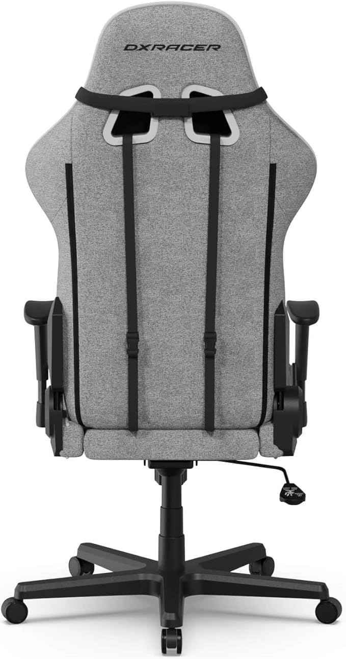 DXRacer Formula L Ergonomic Gaming Chair for Adults Reclining Video Office Computer Gamer Chair with Lumbar Support and Headrest (Water-Resistant Fabric Gray White)