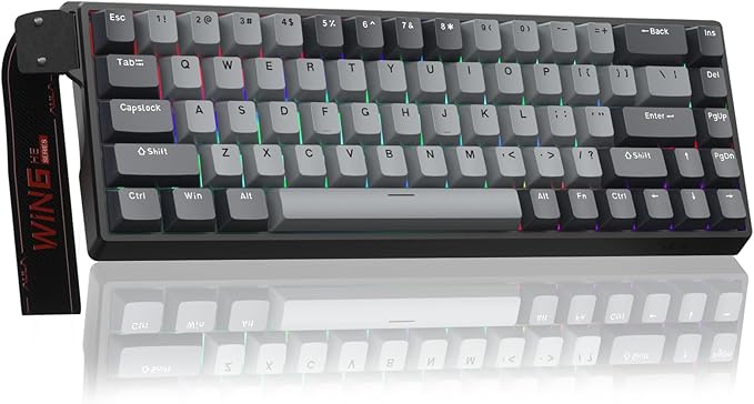 AULA WIN68 HE PRO - Hall Effect Gaming Keyboard with Magnetic Switch Fast Trigger Mode Adjustable Actuation 8KHz Polling Rate Wired RGB Backlit Mechanical Gaming Keyboard 60 Percent Compact Design