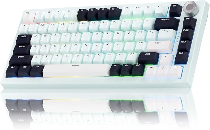 Gurjot Wireless Mechanical Keyboard75% Hot Swappable Keyboard with Knob8000mAH Battery RGB BacklitSide Printed PBT Keycaps2.4GHz/USB-C/BT5.0 Mechanical Gaming KeyboardsIceland Blue