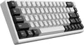 ARBITER Polar 65 - CNC Magnetic Gaming Keyboard w Rapid Trigger Hall Effect Switches CNC Aluminum Frame Rapid Key 65% Compact Bright RGB Dual-Shot PBT Keycaps - White Panda