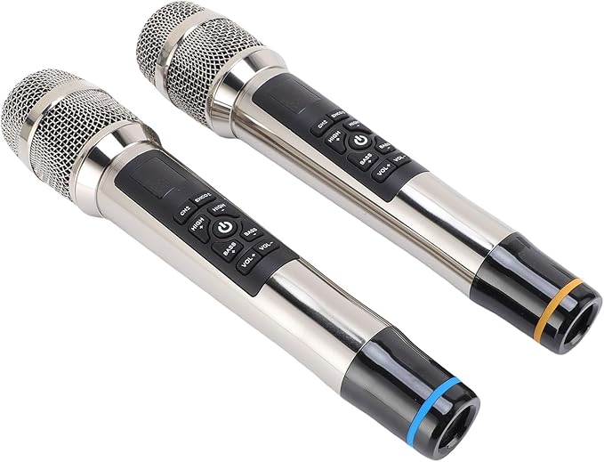Professional Wireless Microphone Set with Reverb Dynamic Mic for Home Theater Singing