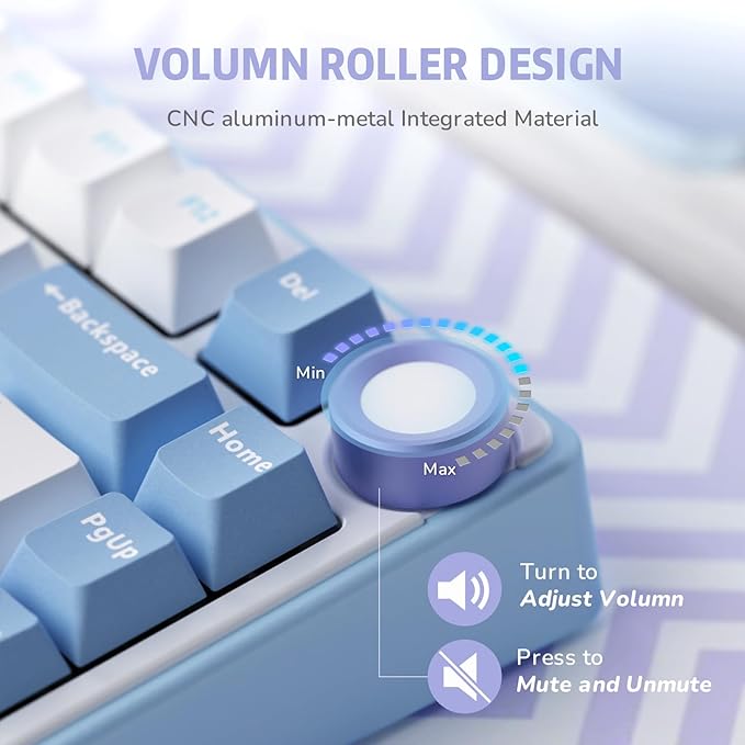 RK ROYAL KLUDGE R75 Mechanical Keyboard Wired with Volume Knob 75% Custom Gaming Keyboard Gasket Mount RGB Backlit with Software Cherry Profile Hot Swappable Silver Switch PBT Keycaps