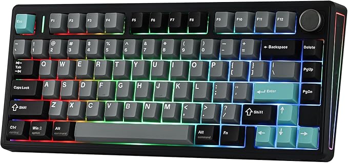 EPOMAKER TH80 V2 75% Wireless Mechanical Keyboard with Metal Knob 8000mAh 2.4Ghz/BT/USB-C RGB Hot Swap Custom Driver PBT Keycap Wireless Gaming Keyboard for PC/Mac (Black Creamy Jade)