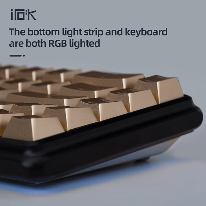 CD67 RGB Portable 60% Gaming Keyboard with Full Metal Enclosure hot-swappable red switches with Customizable backlighting Wired Mechanical Keyboard for Windows PC Gamers