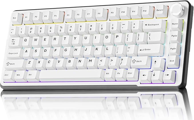 EWEADN GS75 Wireless Mechanical Keyboard ASMR 75% Gaming Keyboard Gasket Hot Swappable Custom Keyboards with RGB Knob PBT Keycaps BT5.0/2.4G/USB-C Creamy Keyboards White