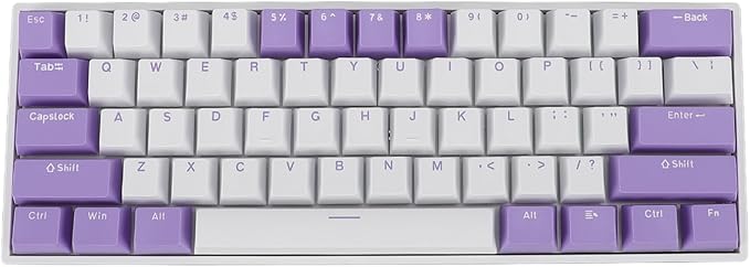 Vikye Mechanical Gaming Keyboard Portable 60% 61 Keys Type C Wired Keyboard with RGB Backlight for Laptop PC Red Switch with Blue Switch