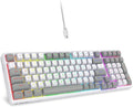 HUO JI Z-99 Wired Mechanical Keyboard Creamy Sound Hot Swappable Pre-lubed Linear Switches Gasket Structure with Sound Dampening Foam RGB Backlit 99 Keys Custom Gaming Keyboard for PC/MacGray