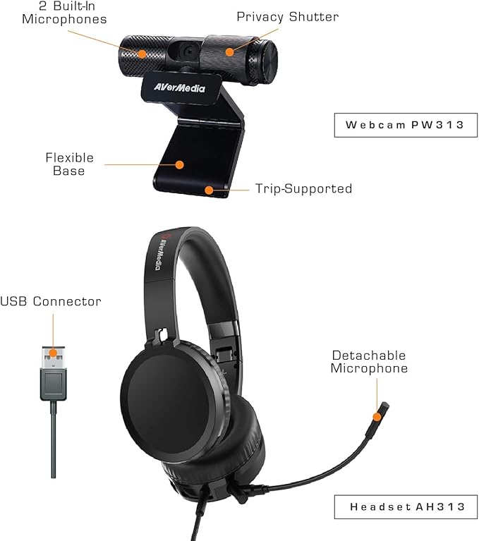 AVerMedia Video Conference Kit 317