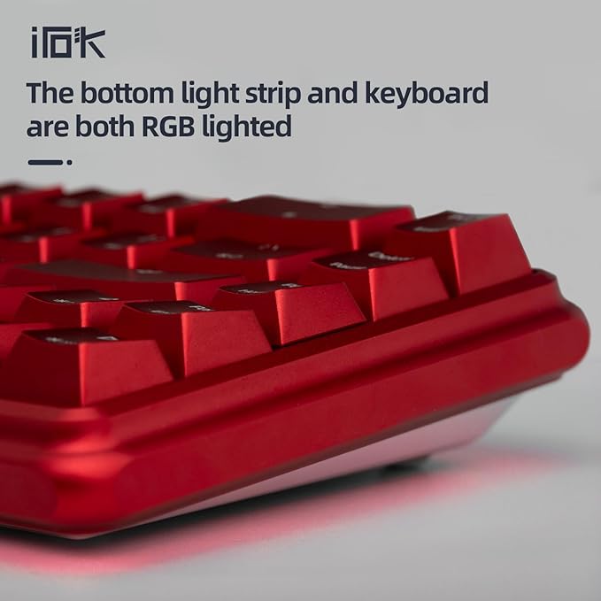 CD67 RGB Portable 60% Gaming Keyboard with Full Metal Enclosure hot-swappable red switches with Customizable backlighting Wired Mechanical Keyboard for Windows PC Gamers